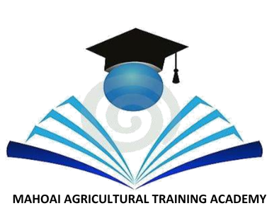 Mahoai Logo